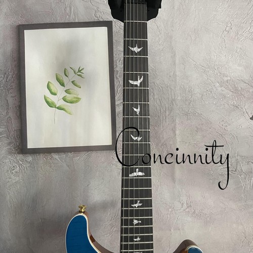 Guitarra Eléctrica Personalizada PRS Azul Llama Tapa Arce Cuello Caoba Trémolo Puente - Imagen 3 de 8