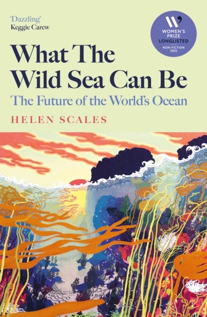 What the Wild Sea Can Be by Helen Scales (Hardback Book)