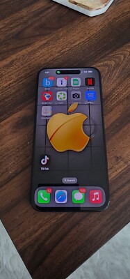 iPhone 15 Pro Max With Updated Tik Tok