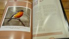 Bild 11 von 12