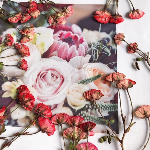 Pressed Dried Shepherd's Purse Stalk Epoxy Resin Candle Scrapbook Frame Floral - Picture 11 of 66