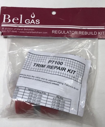 NUEVO KIT DE RECONSTRUCCIÓN REGULADOR BELGAS para VÁLVULA ACCIONADA POR DIAFRAGMA P7100 3/4" SS SNAP - Imagen 2 de 2