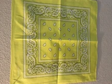 6 Pcs Paisley Print Bandana 100% Cotton Face Cover Head Warp 