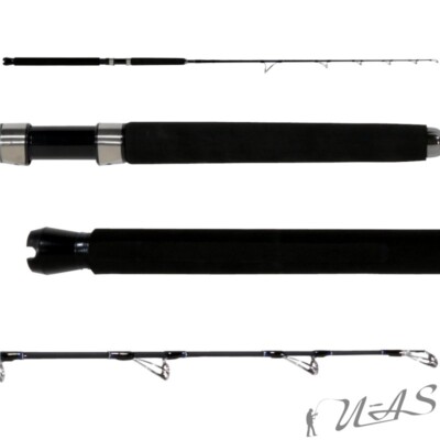 Mitchell Mag Pro R602 50Lbs Hi Carbon Norwegen Pilkrute Schlepp Rute Jigrute Kva