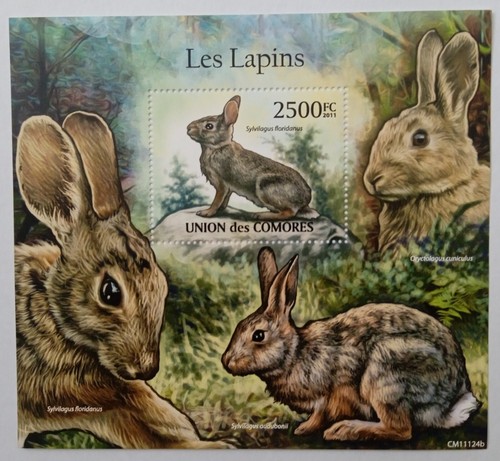 Fauna 9 Blocks MNH Comoros - 第 2/6 張圖片