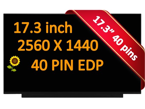 17.3" 165Hz QHD LED LCD Screen Display HP OMEN 17-ck 17-ck1020nr 17-ck0008ca - Picture 1 of 4