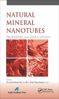 Natural Mineral Nanotubes - 9781771880565