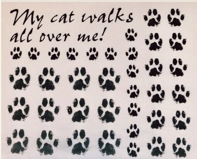 My Cat Walks All Over Me-Kitty NEW T-shirt Vintage Graphic-MADE to ORDER