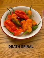Super Hot Pepper Seeds - Choose Your Variety 