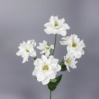 6 Heads Artificial Camellia Spray 60cmH in Cream White Artificial Wild Flower