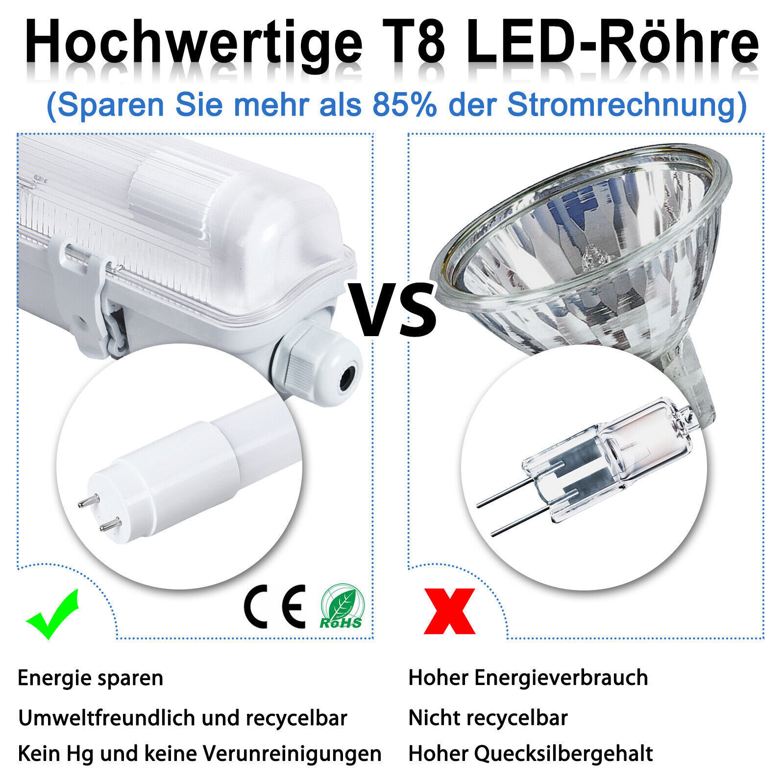 Bild 5 von 12