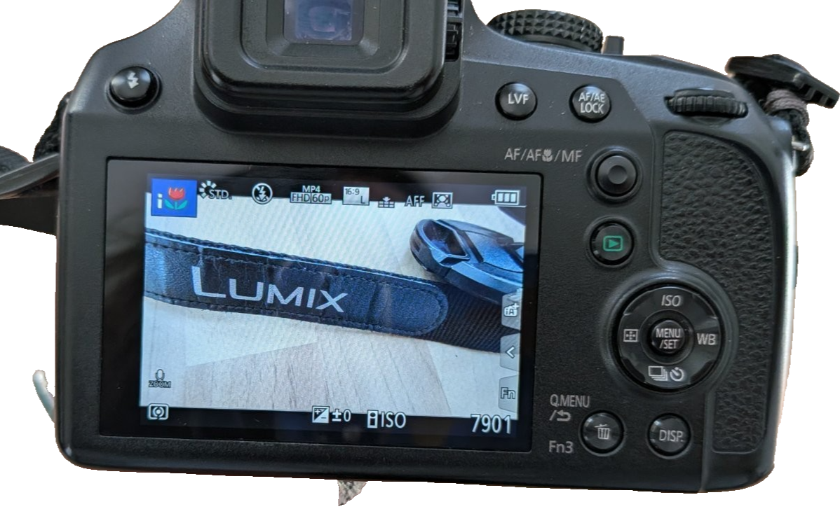 Panasonic Lumix DC-FZ82 18.1MP 4K Camera 60x Zoom Bridge Camera Tested