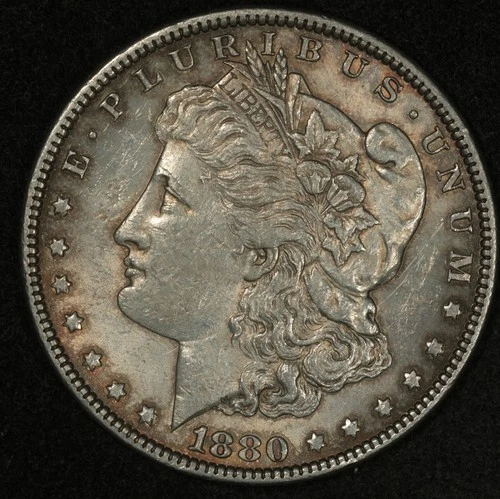 1880 MORGAN SILVER DOLLAR AU DETAILS