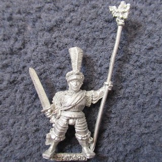 1A The Empire Imperial Command Group Standard Bearer Warhammer The Old World D&D