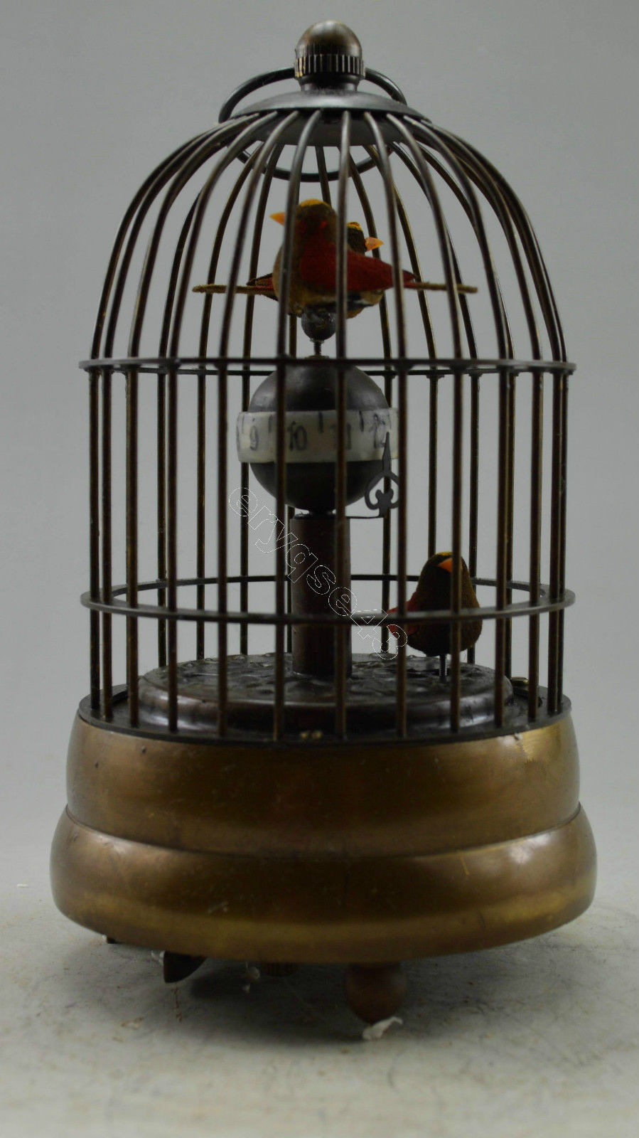 Picture 4 of 5