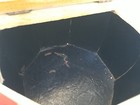 Bild 11 von 13