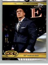 2019 Topps WWE NXT Wrestling Base Singles (Pick Your Cards)