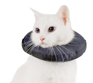 Kitten Cone Collar Soft Pet Recovery E Collar After Surgery For Kitten Puppy