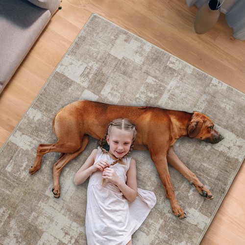 Area Rug Living Room Rugs 8x10 Washable: Indoor Soft Low Shaggy Fluffy Pile C... - Picture 6 of 9