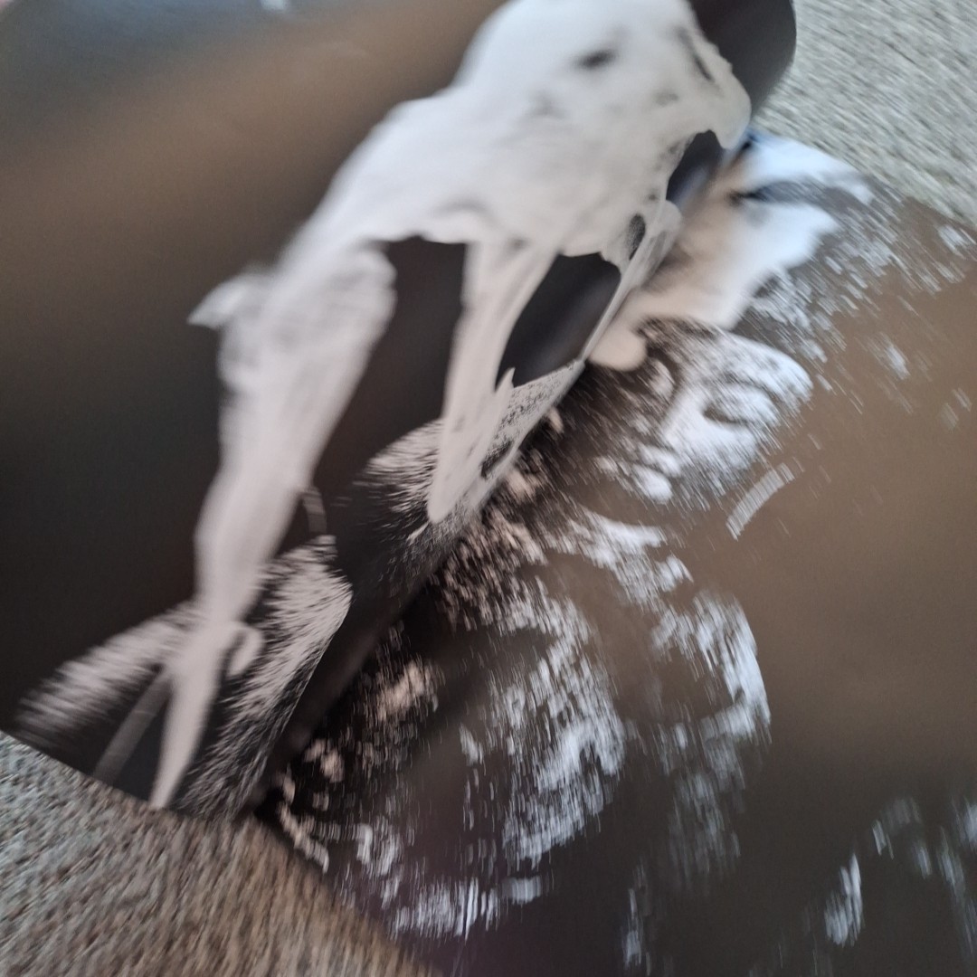 Picture 3 of 10