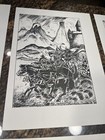 Picture 9 of 15
