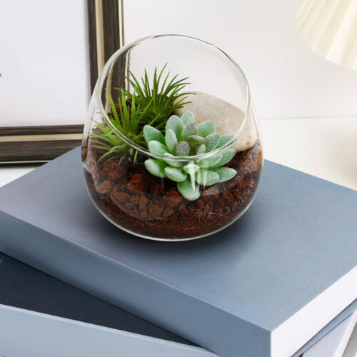 Glass Vase Vases Succulent Pot Flower Pots for Indoor Plants Fish Bowl - Picture 4 of 11