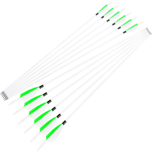 6/12 Archery Carbon Arrows 30" SP500 Feathers Tips Recurve Compound Bow Hunting - Picture 16 of 16