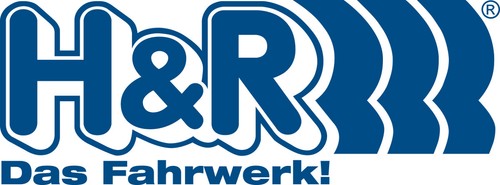 H&R Separadores 30 / 50mm Plata para Audi A3 A4 A6 A8 Tt Q2 - 第 4/4 張圖片