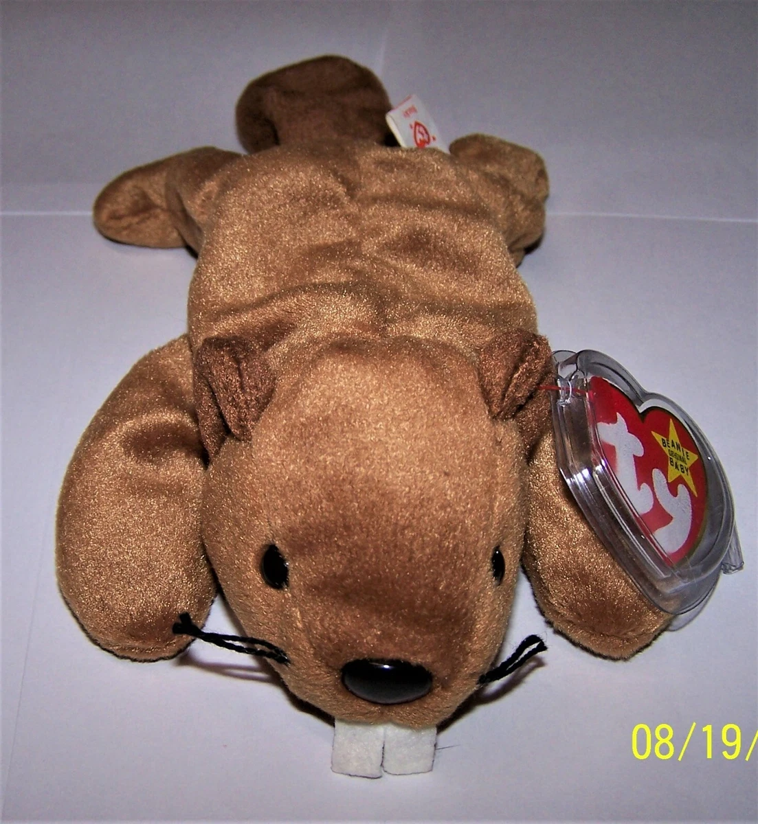 Beanie baby beaver sale