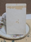 Foto 7 di 8