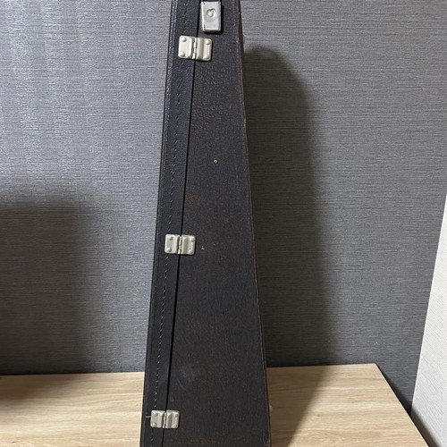 Rafaelle Colorce15 Mandoline mit Koffer - Bild 20 von 20