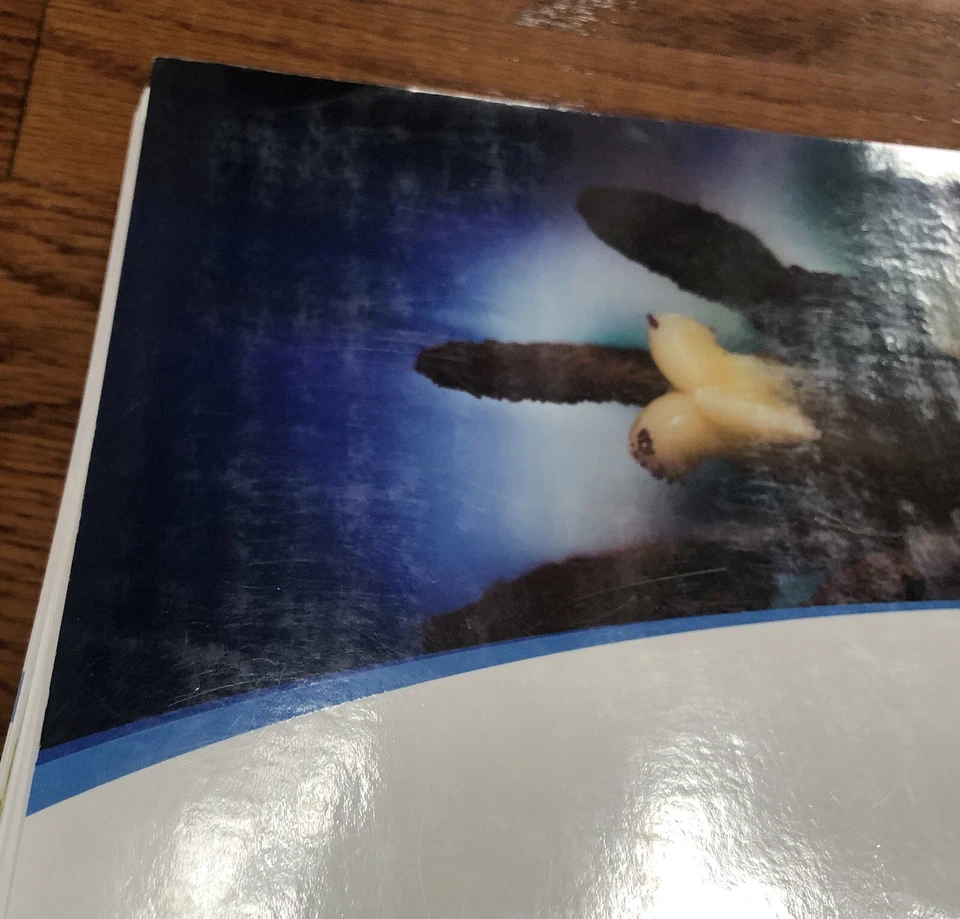 Apologia Exploring Creation With Botany 2nd Edition Junior Notebooking Journal Foto 4 de 4