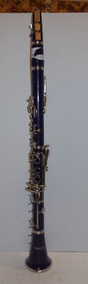 Purple Mendini By Cecilio Clarinet No Case