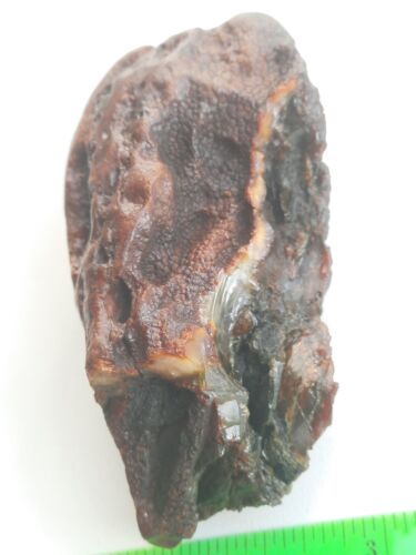 Bernstein Roh Baltische Steine Bernstein Natur Anhänger 63g - Bild 3 von 9