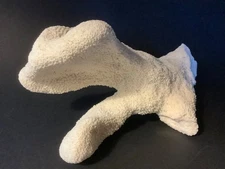 GENUINE NATURAL LARGE WHITE SEA CORAL SPECIMEN 12-1/4”X8”X5-3/4” - 3lbs 13oz #5