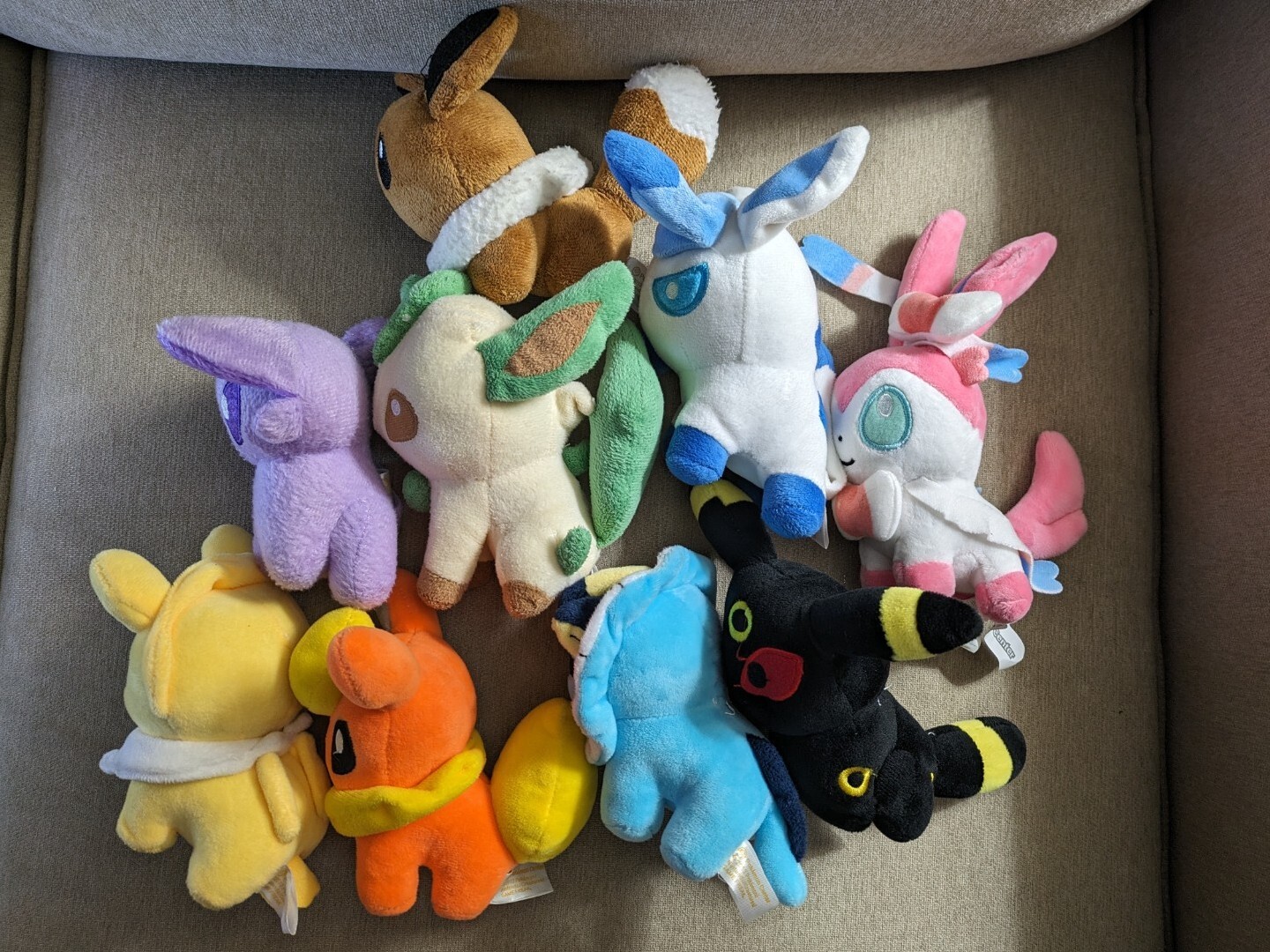 Lot de 9 peluches Pokemon Evoli ??volutions ?�dition limit?�e 5 ?� 8