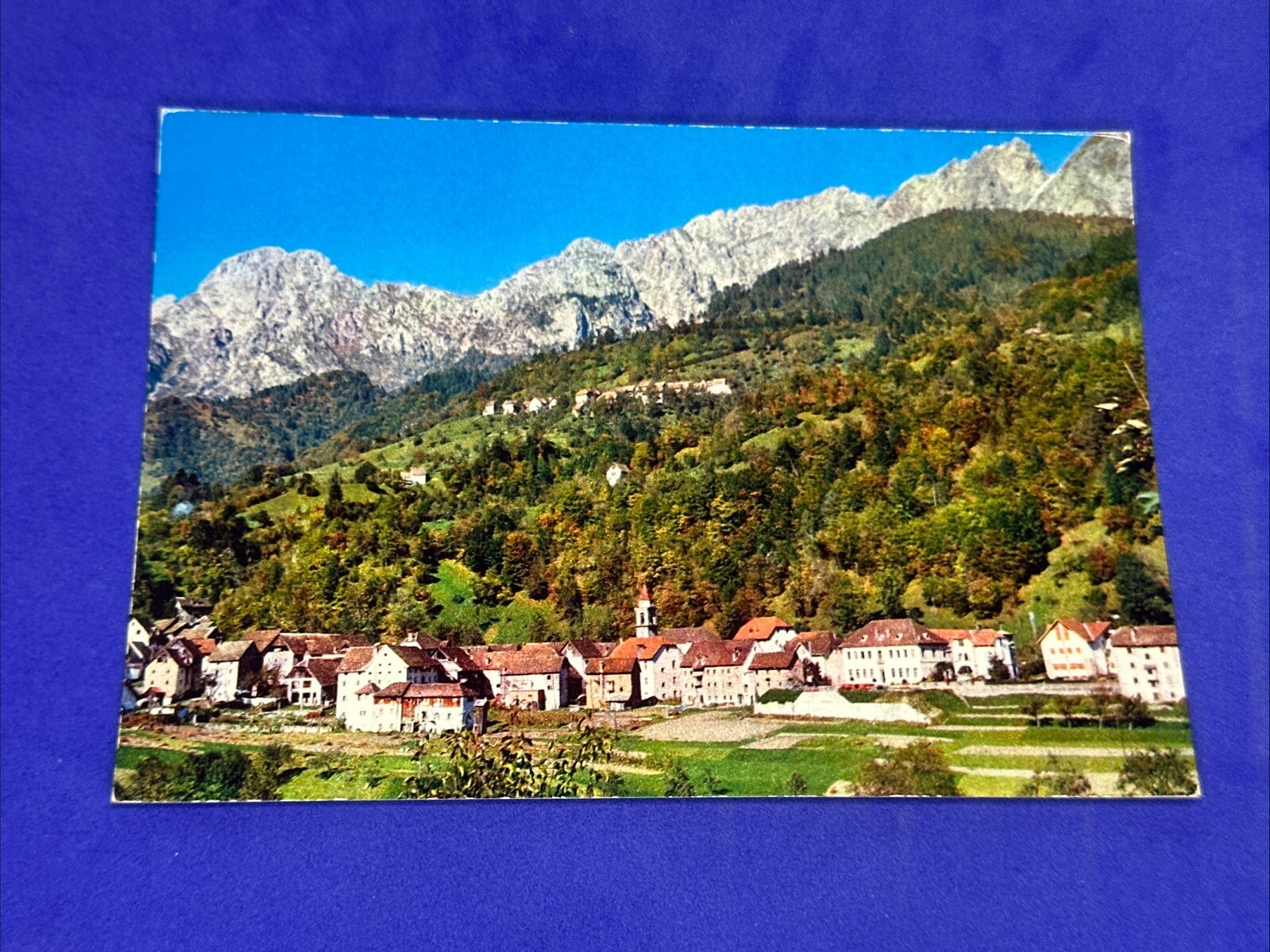 PIERIA CARNIA VISTA - Cartolina Vintage a Colori - VINTAGE POSTCARD - COLLEZIONE