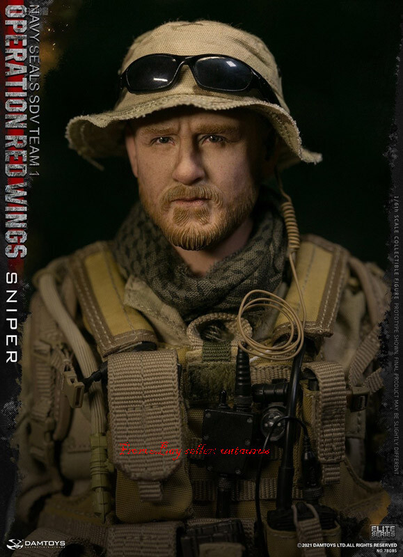 Perfect Damtoys 1/6 78085 Red Wings - Navy Seals Sdv Team 1