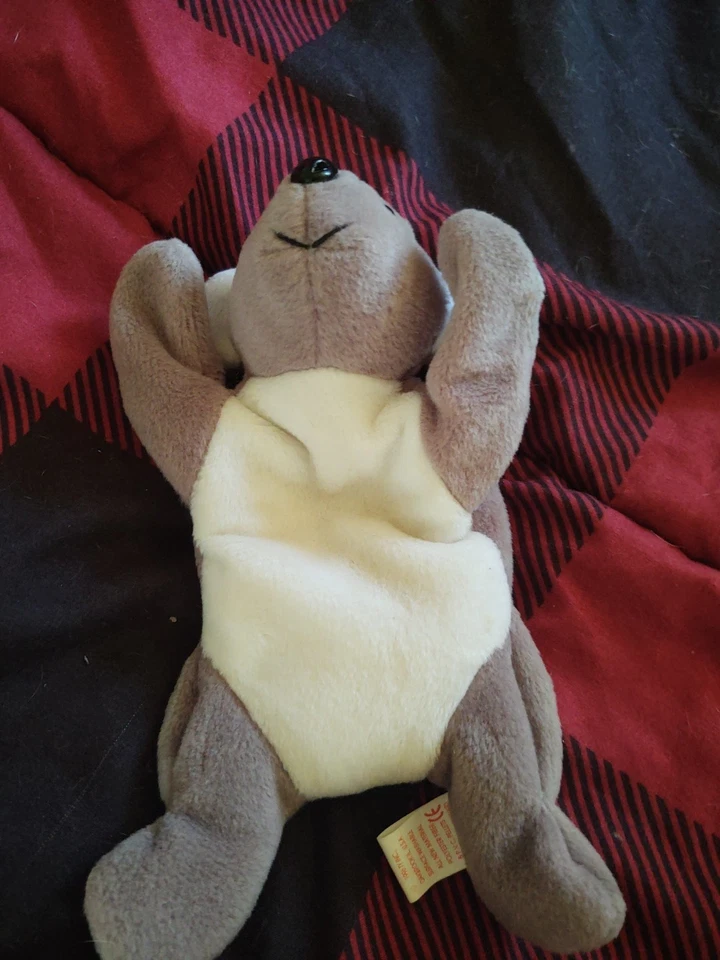 Ty Beannie Babies Foto 3 de 4