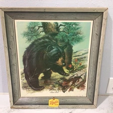 VTG Rare STROH’S Beer Black Bear Self Framed WILDLIFE Advertising Bar Sign!