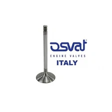 VR6 2.8 2.9 ABV AAA AES Intake Valve VW Volkswagen Golf Corrado 021109601H OSVAT