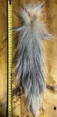 18 inch wet tanned skunk tail