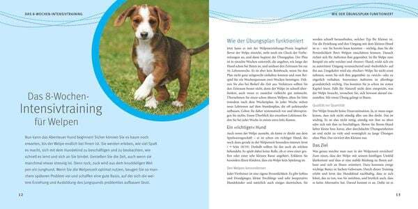 Thumbnail - Welpen-erziehung