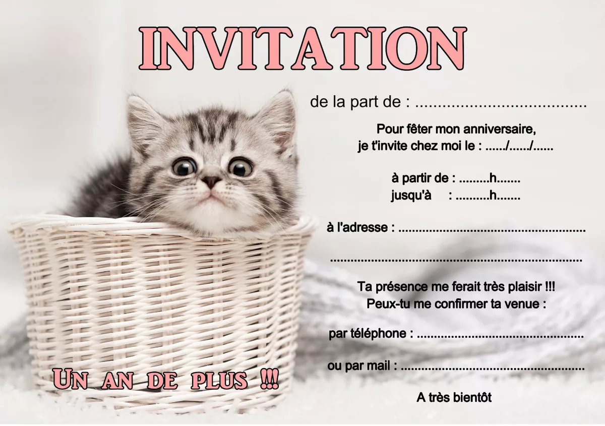 5 - 12 or 14 Cute Cat Birthday Invitation Cards Ref 480