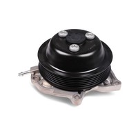 Wasserpumpe Hepu P694