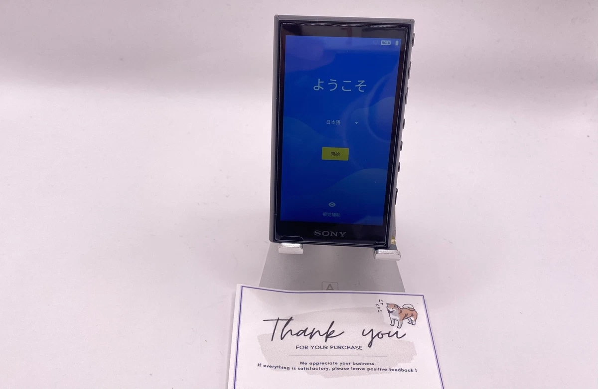 Walkman Sony NW-A105 noir haute résolution multilingue OK (modèle JP)