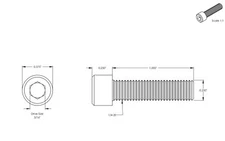 1/4-20 Socket Head Cap Screws Stainless Steel Allen Bolts All Lengths Quantities