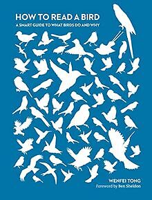 How to Read a Bird: A Smart Guide to What Birds Do and W... | Buch | Zustand gut