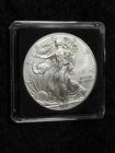 2013 US American Eagle Walking Liberty Uncirculated 1 oz Silver Dollar Coin
