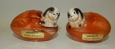 Paoli Indiana Souvenir Salt Pepper Shaker Set - Puppies Hatching From Footballs
